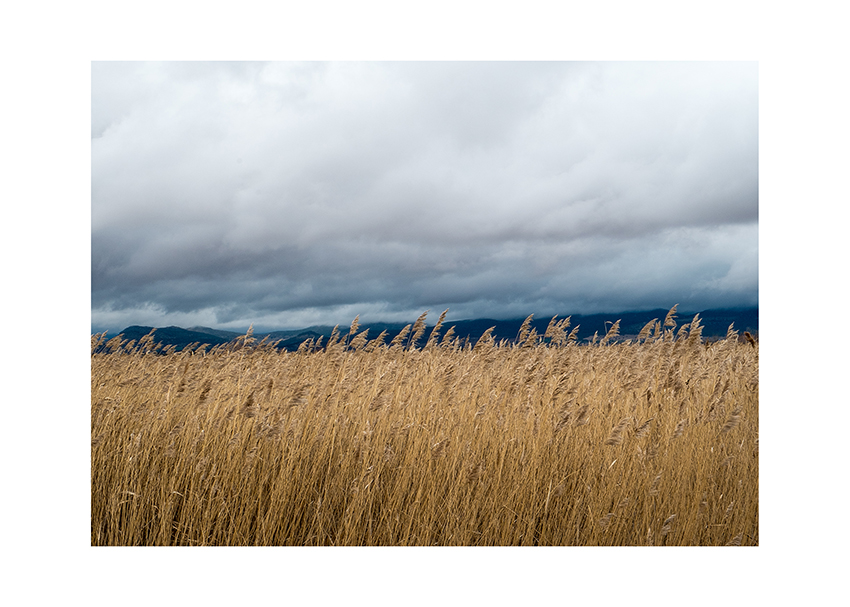 678 km. Mireia Alises