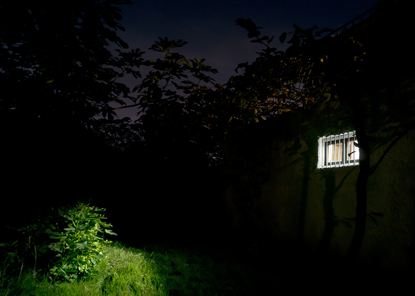 Gairebé fosc. Mireia Alises