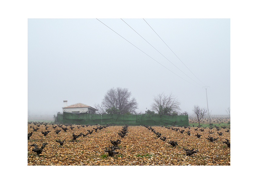 678 km. Mireia Alises