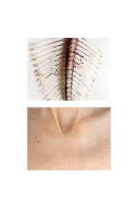 fragments-mireia-alises