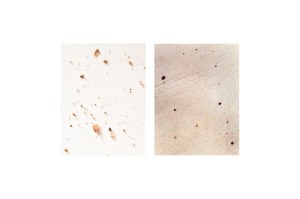 fragments-mireia-alises