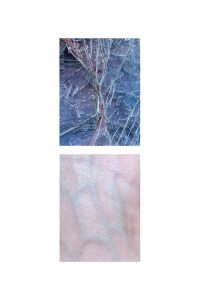 fragments-mireia-alises