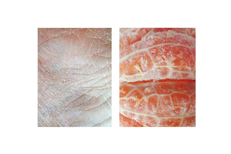 fragments-mireia-alises