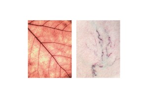 fragments-mireia-alises