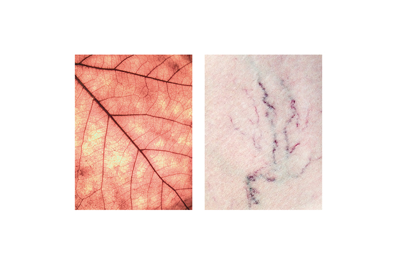 fragments-mireia-alises