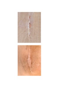 fragments-mireia-alises