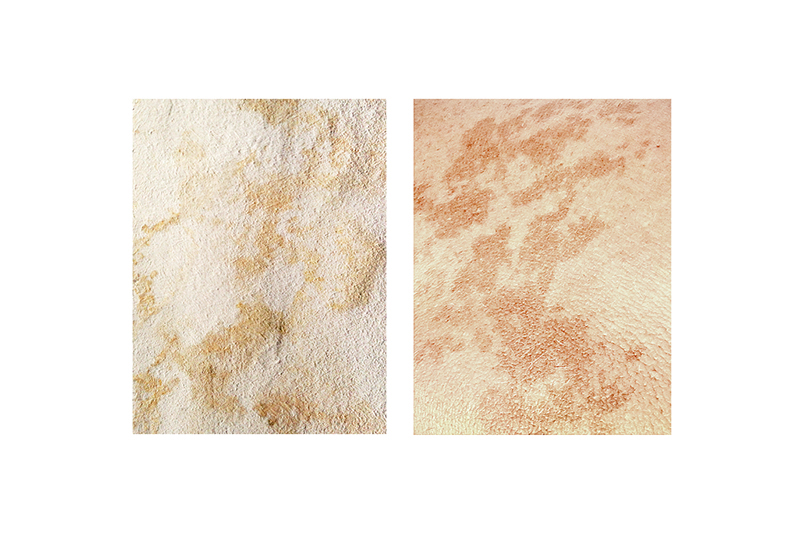 fragments-mireia-alises