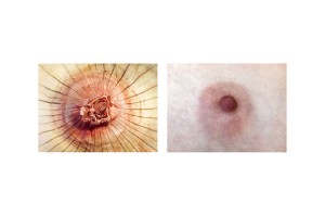 fragments-mireia-alises