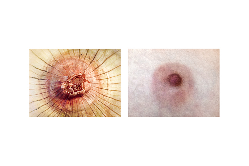 fragments-mireia-alises